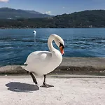 Aparthotel Maggiore Bay Baveno