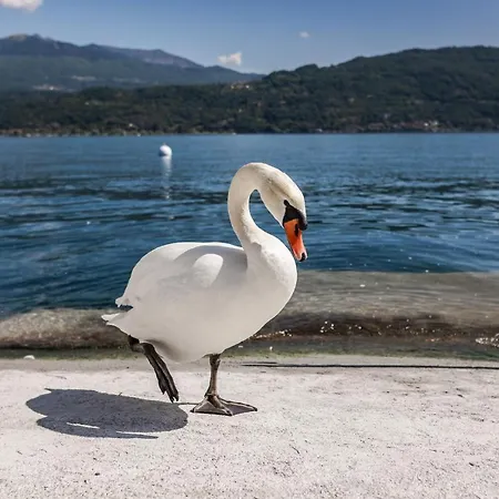 Appart hôtel Maggiore Bay Baveno